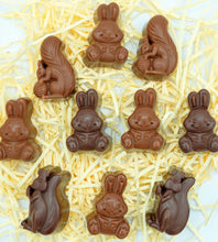 Load image into Gallery viewer, The Mini Easter Clan
